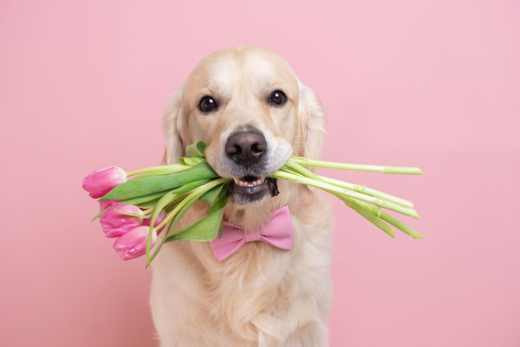 L’attribut alt de cette image est vide, son nom de fichier est iStock-1369757652-1024x683.jpg.